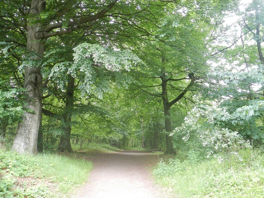 Vogelexcursie in Wilderszijde in Berkel en Rodenrijs