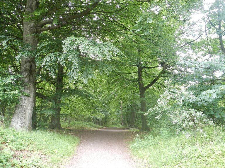 Vogelexcursie in Wilderszijde