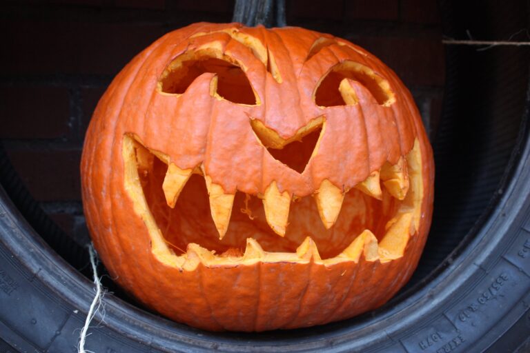 Halloween in Bergschenhoek: Griezeltocht en Pompoenexperience — familie-kids in Berkel en Rodenrijs